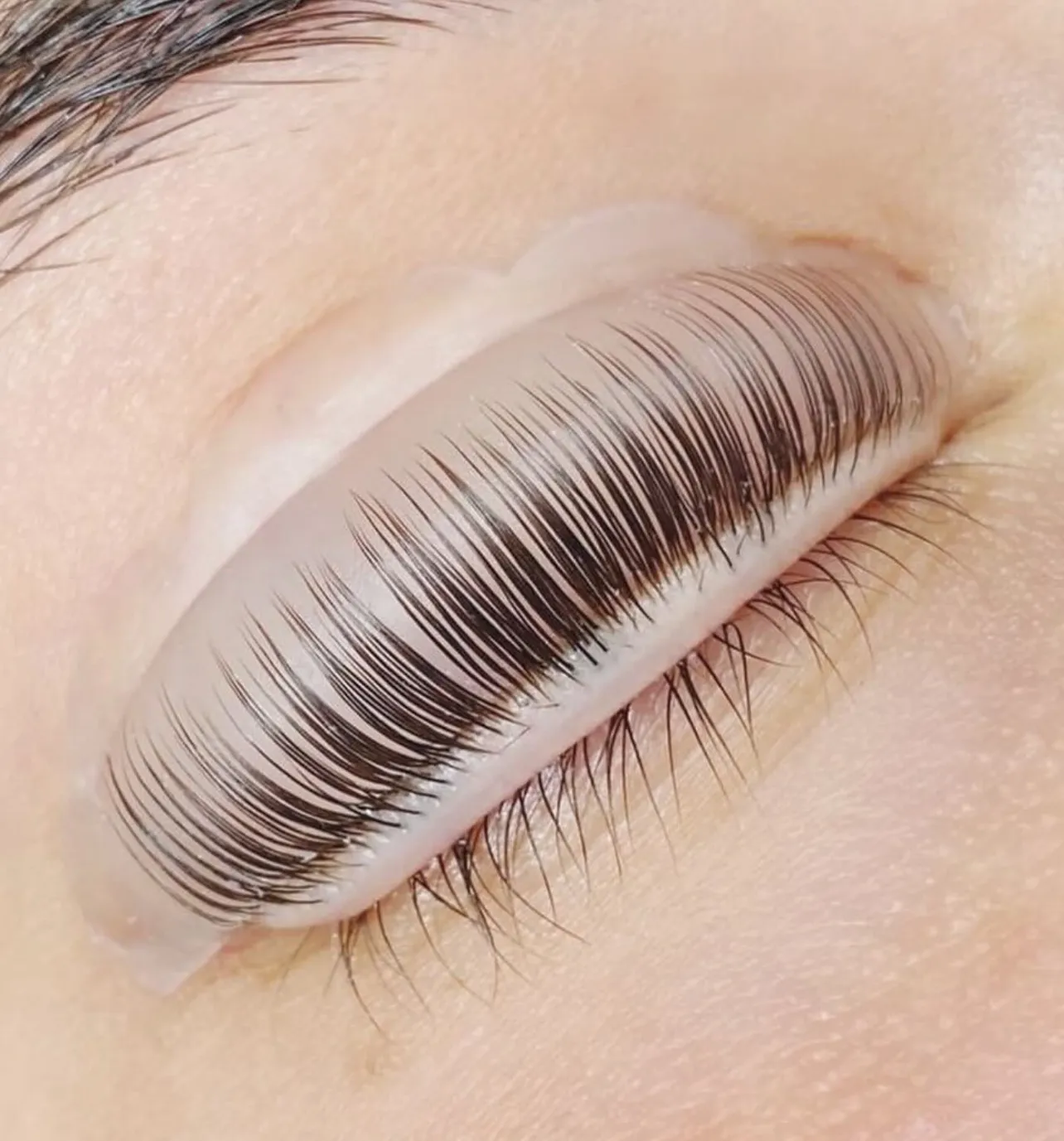Cils fixés sur le bigoudi pendant un rehaussement de cils, technique lash lift